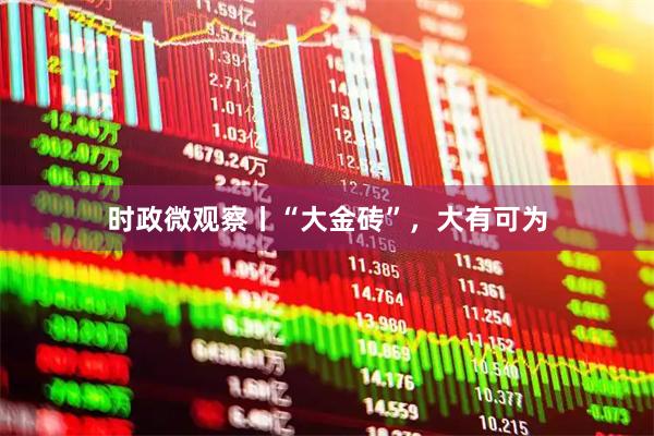 时政微观察丨“大金砖”，大有可为